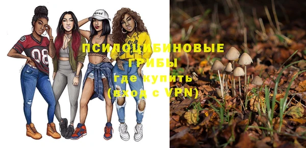альфа пвп Новодвинск
