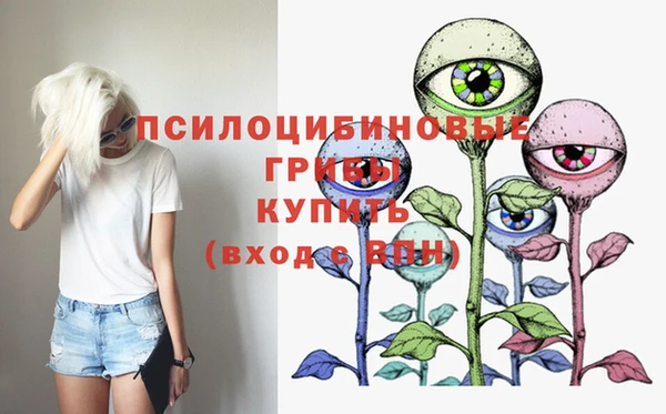 гашик Нязепетровск