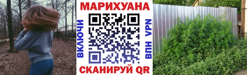 дарк нет официальный сайт  Новоржев  Канабис VHQ 